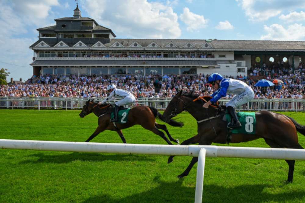 Thirsk Racecourse