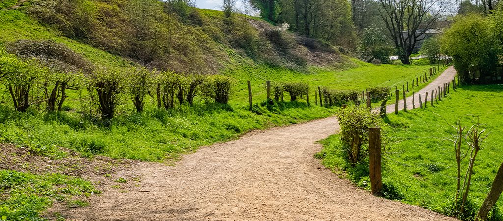 Dirt track carving through lush Yorkshire fields