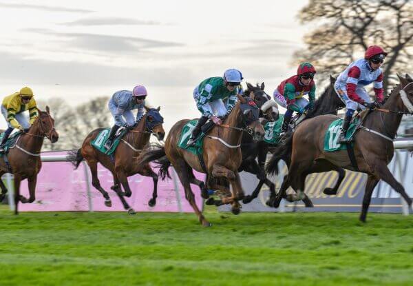 Thirsk Racecourse - Horses racing